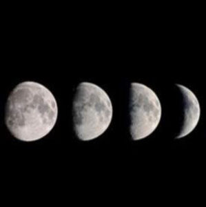 Meet your Posher, Ceb